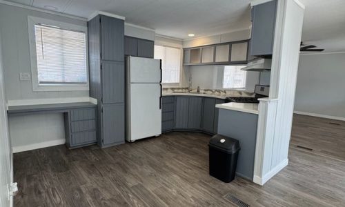 Palm-Shadows-C44-Image-4